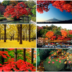Пазл: Осенние краски Японии