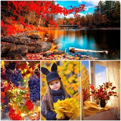 Пазл: Красочная осень