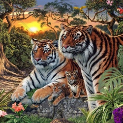 Пазл: Семья тигров