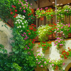 Пазл: Цветы на балконе