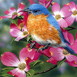 Пазл: Цветущий кизил и голубая птица