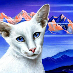 Пазл: Балинезийская кошка
