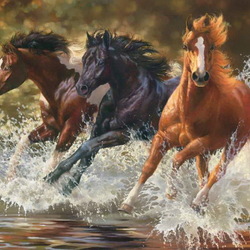Пазл: Лошади бегущие по воде