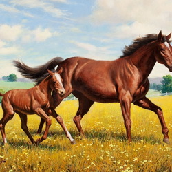 Пазл: Лошадь с жеребенком