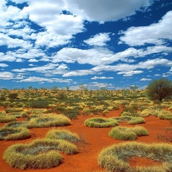 Пазл: Природа Австралии