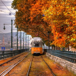 Пазл: Трамвай в осень