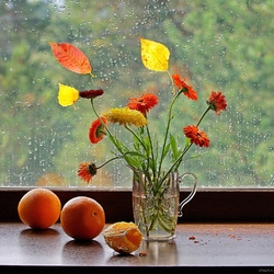 Пазл: Осень за окном