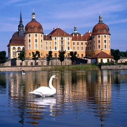 Пазл: Замок Морицбург