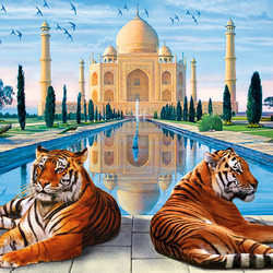 Пазл: Тадж-Махал и тигры
