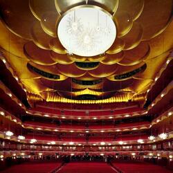 Пазл: Метрополитен Опера (Metropolitan Opera House)
