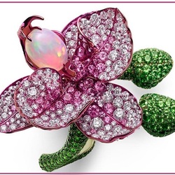 Пазл: Кольцо Орхидея