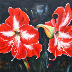 Пазл: Цветение большого Красного амариллиса