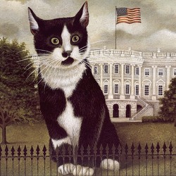 Пазл: Президентский кот