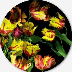 Пазл: Пестрые тюльпаны