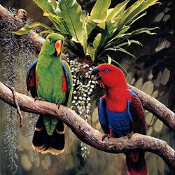 Пазл: Eclectus Parrots/Благородные попугаи