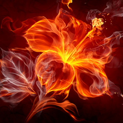 Пазл: Огненный цветок