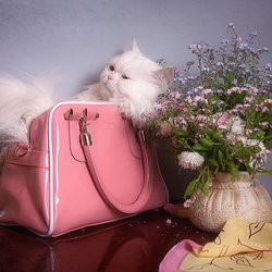 Пазл: Белый кот. Розовая сумка