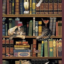 Пазл: Кошки в библиотеке
