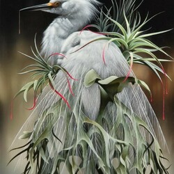 Пазл: Волшебные портреты птиц