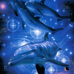 Пазл: Звездные дельфины