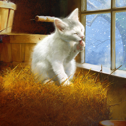 Пазл: Белый котик у окошка