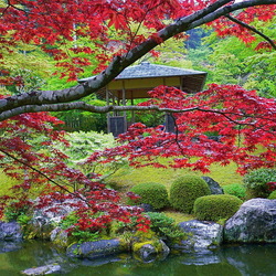 Пазл: Осень в японском саду
