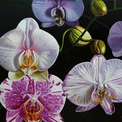 Пазл: Орхидейная фантазия