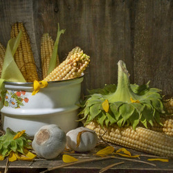 Пазл: Натюрморт с кукурузой