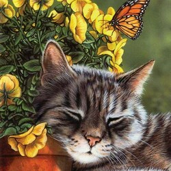 Пазл: Кот и бабочка