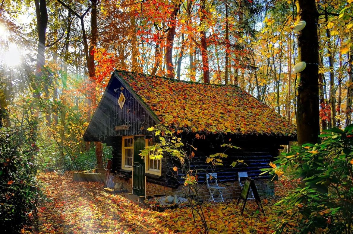 Домик В Лесу Осенью