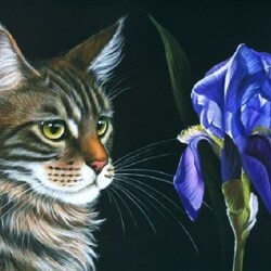 Пазл: Кот и цветок ириса