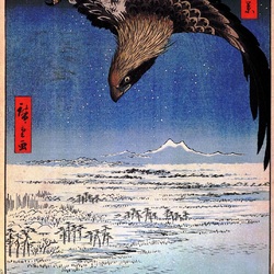 Пазл: 100 известных видов Эдо. Лист № 107. Сусаки и полет Дзюман-цубо около Фугакавы