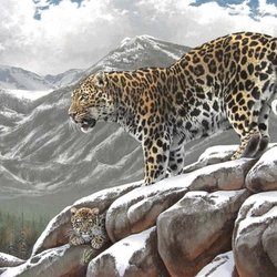 Пазл: Амурский леопард
