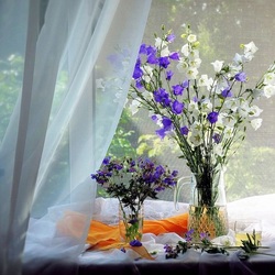 Пазл: Цветы на окне