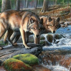 Пазл: Волки на реке