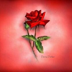 Пазл: Красная роза