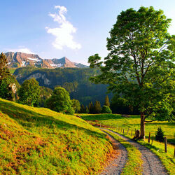 Пазл: Природа Швейцарии