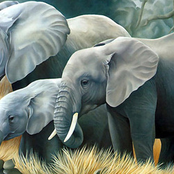 Пазл: Семейство слонов