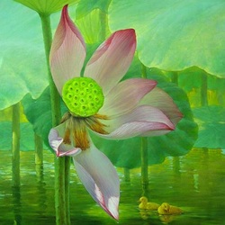 Пазл: Цветок лотоса