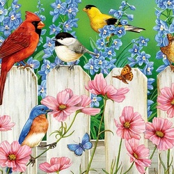 Пазл: Птицы на заборе