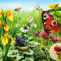 Пазл: Цветы и насекомые