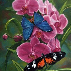 Пазл: Бабочки и орхидея