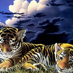 Пазл: Тигрята