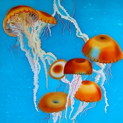 Пазл: Медузы