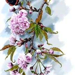 Пазл: Бабочка на цветке сакуры