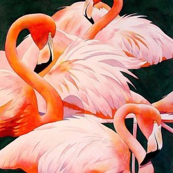 Пазл: Фламинго