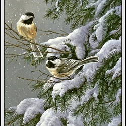 Пазл: Птицы зимой