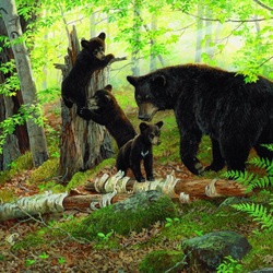Пазл: Мама с медвежатами