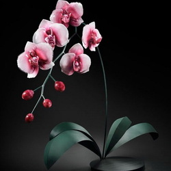 Пазл: Гигантская розовая орхидея из стекла