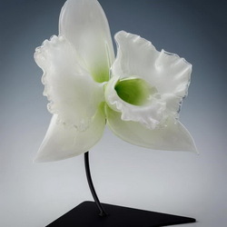 Пазл: Гигантская белая орхидея  из стекла